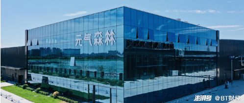 元?dú)馍值呐菽_(kāi)始破滅