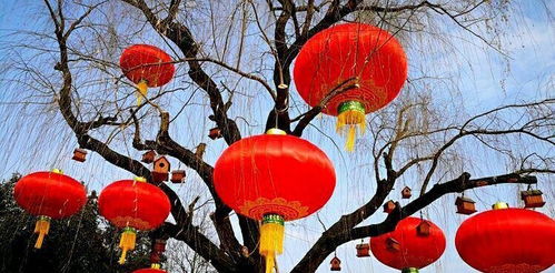 好產(chǎn)品引來 金鳳凰 陜西鳳翔宮燈暢銷大江南北